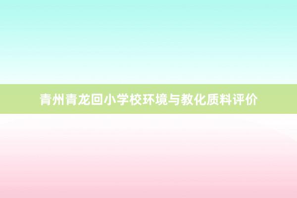 青州青龙回小学校环境与教化质料评价