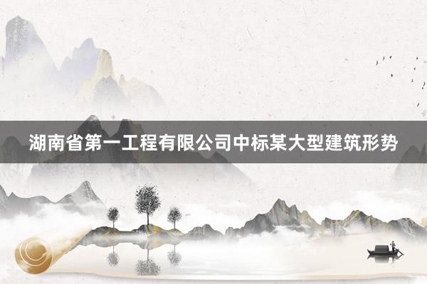 湖南省第一工程有限公司中标某大型建筑形势