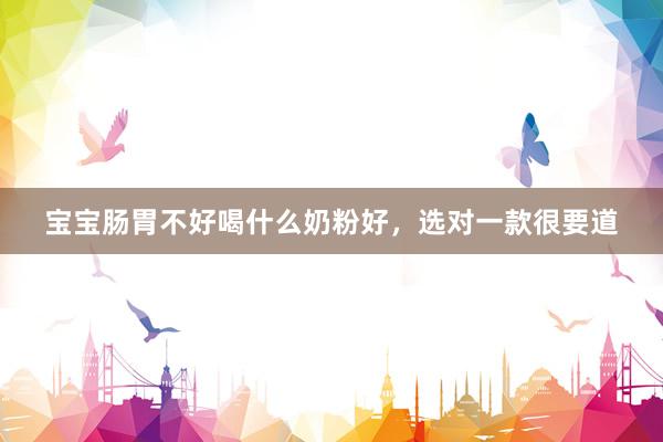宝宝肠胃不好喝什么奶粉好，选对一款很要道