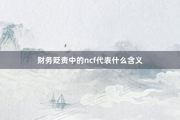 财务贬责中的ncf代表什么含义