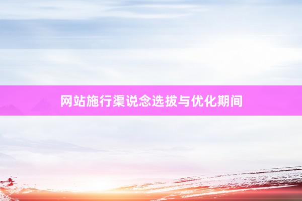 网站施行渠说念选拔与优化期间