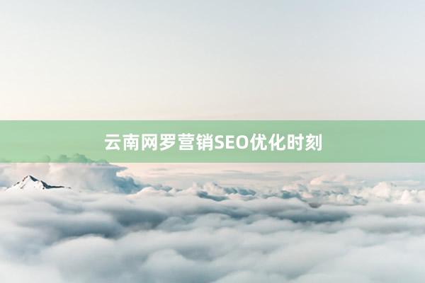 云南网罗营销SEO优化时刻