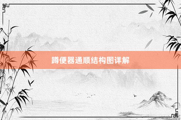 蹲便器通顺结构图详解